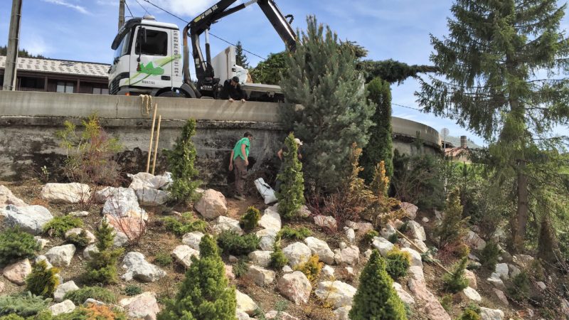 Plantation camion grue